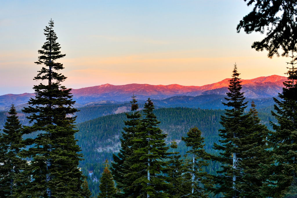 Image of Northstar