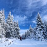 cross country ski lake tahoe